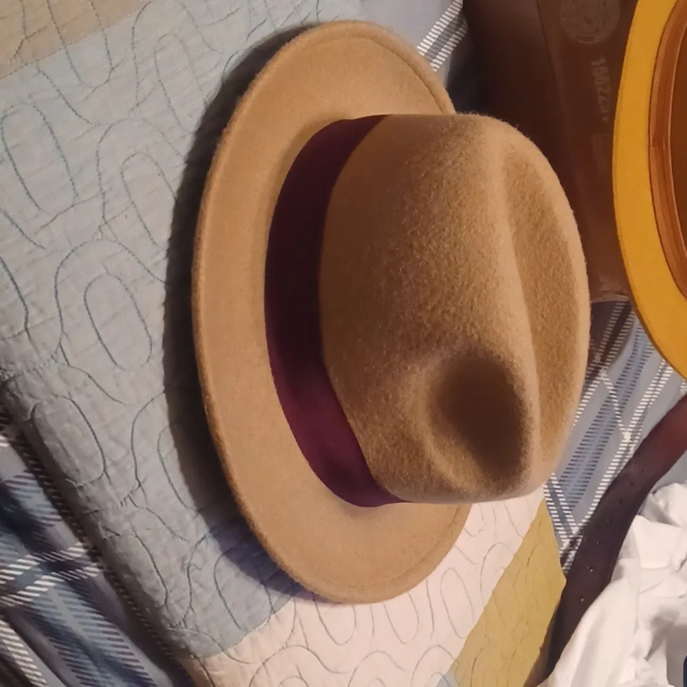Stylish Men's Fedora Hat Collection - Picture 12 of 14